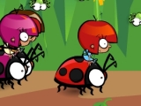 Play Ladybird racing now !